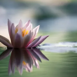 Energy Energy of Awakening